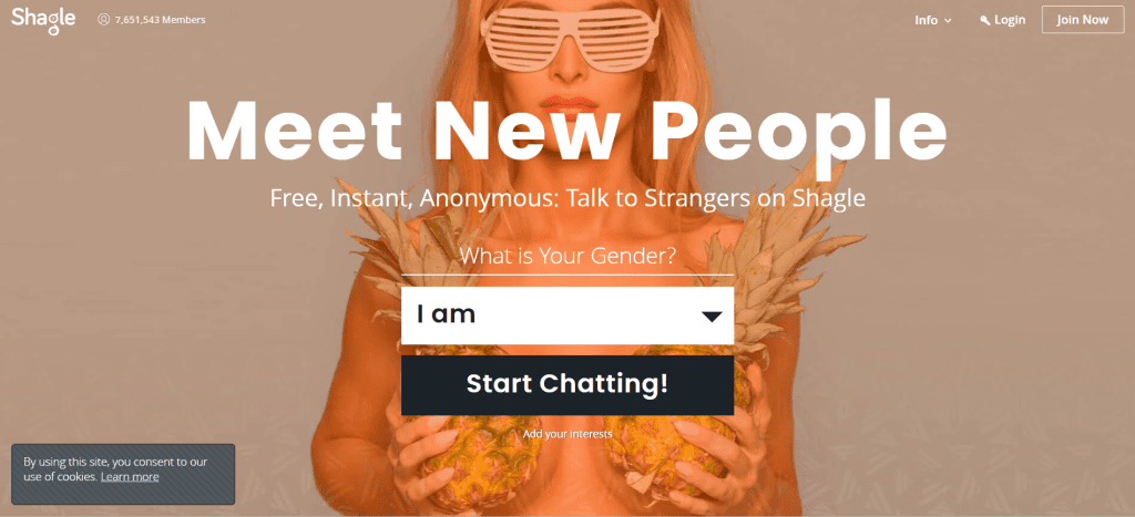 Shagle random video chat platform for instant cam-to-cam interactions, meeting strangers online, and chatting live worldwide.