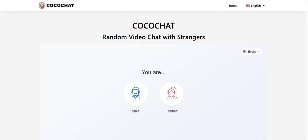 CocoChat random video chat platform for instant cam-to-cam conversations, meeting strangers online, and connecting with new people worldwide.