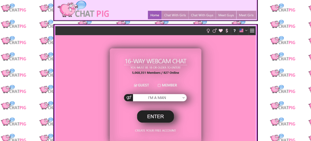 ChatPig random video chat platform for instant cam-to-cam conversations, meeting strangers online, and real-time face-to-face interactions.