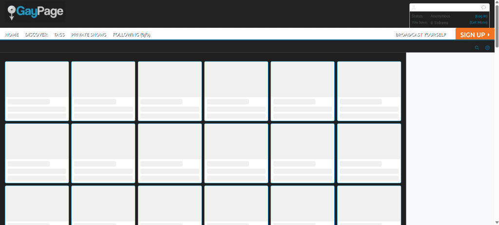 gaypage image showing gay video chat platform with random video chat and live face to face cam to cam interactions online